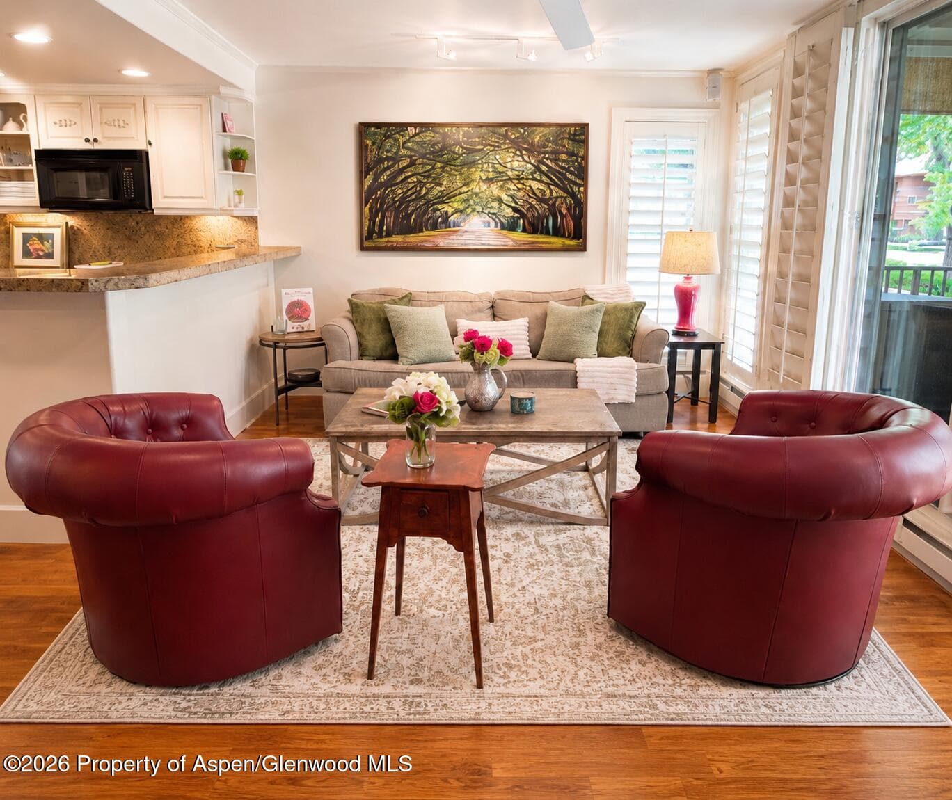 800 E Hopkins Avenue A-1, Aspen, CO 81611 - Photo 1