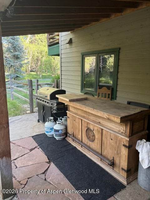 135 Lewis Lane, Basalt, CO 81621 - Photo 21