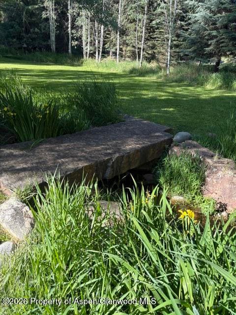 135 Lewis Lane, Basalt, CO 81621 - Photo 23