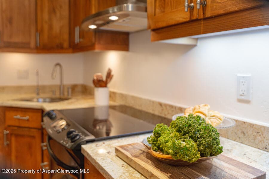 725 E Main Street 309, Aspen, CO 81611 - Photo 17