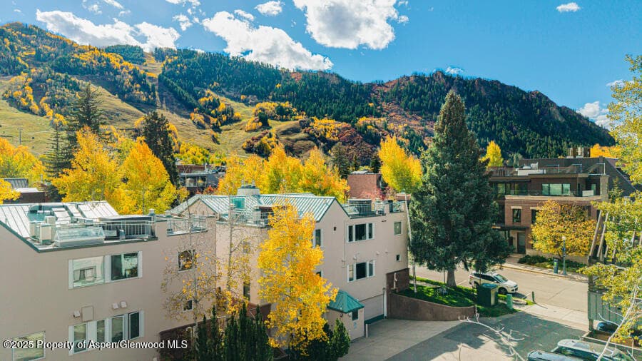 725 E Main Street 309, Aspen, CO 81611 - Photo 39