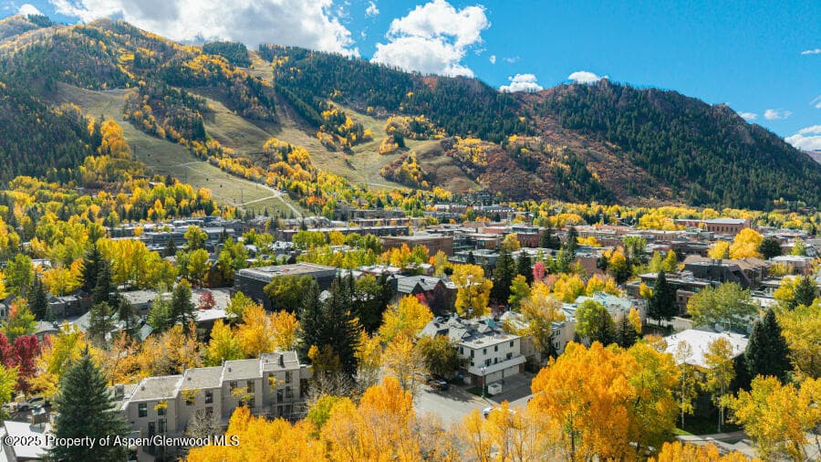 725 E Main Street 309, Aspen, CO 81611 - Photo 47