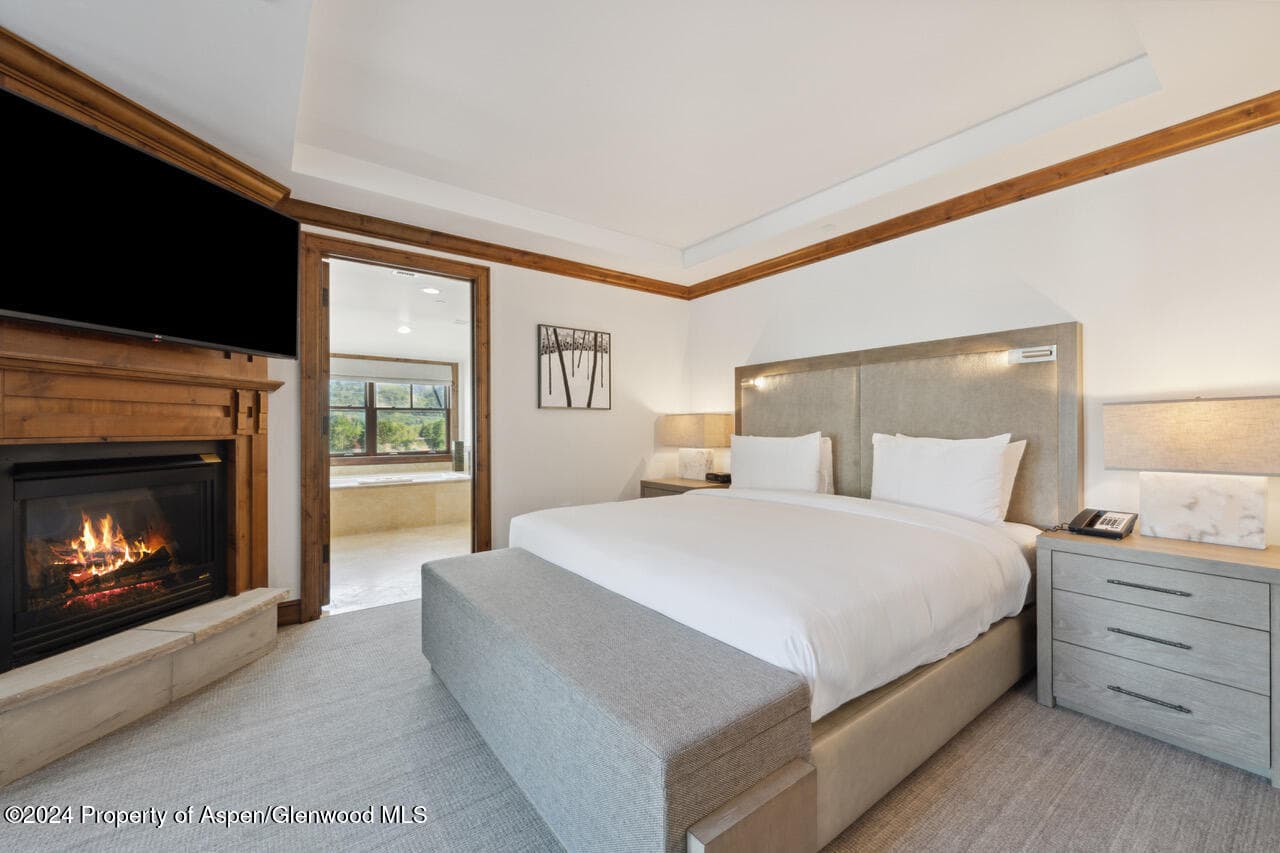 415 E Dean St, Unit 45, Week 12, Aspen, CO 81611 - Photo 13