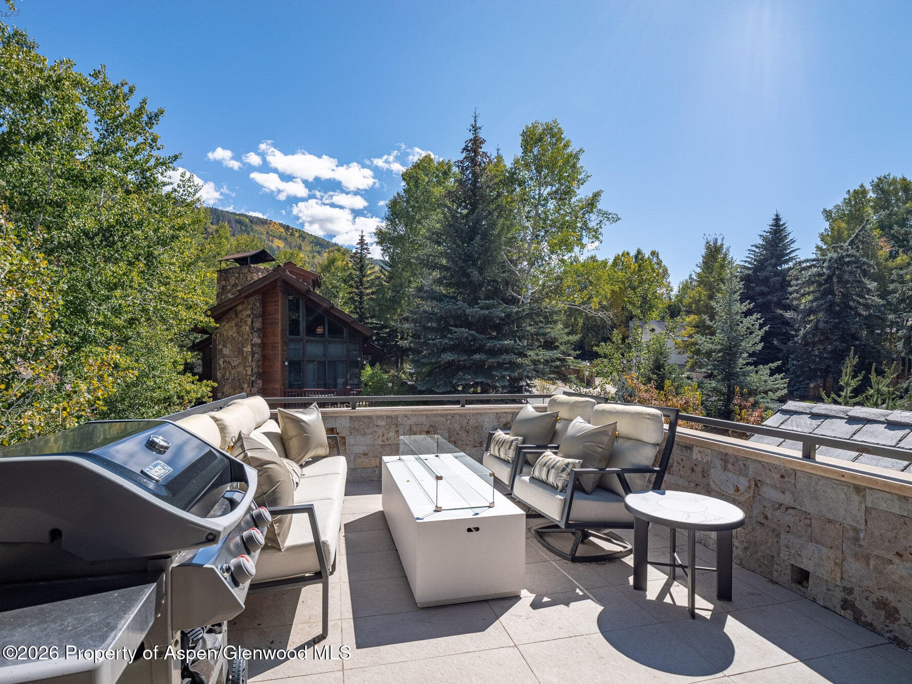 1154 E Cooper Avenue Unit B, Aspen, CO 81611 - Photo 36