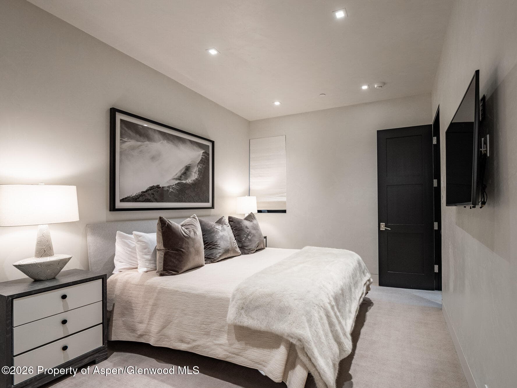 1154 E Cooper Avenue Unit B, Aspen, CO 81611 - Photo 26