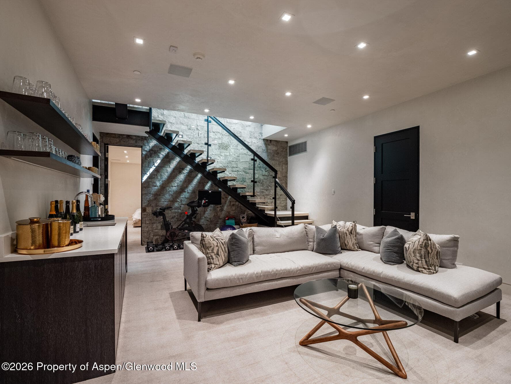 1154 E Cooper Avenue Unit B, Aspen, CO 81611 - Photo 20