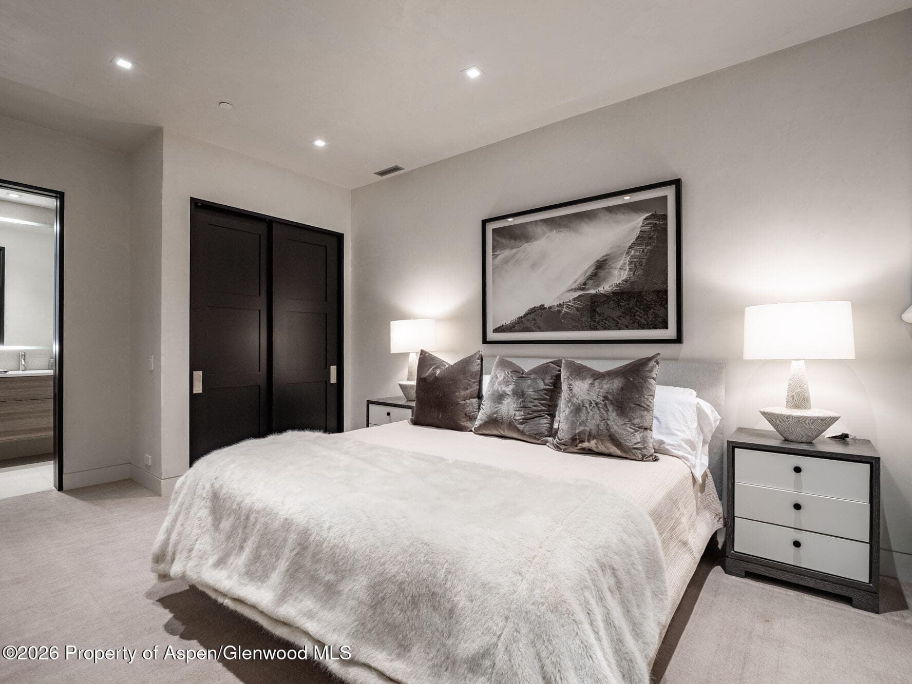 1154 E Cooper Avenue Unit B, Aspen, CO 81611 - Photo 25