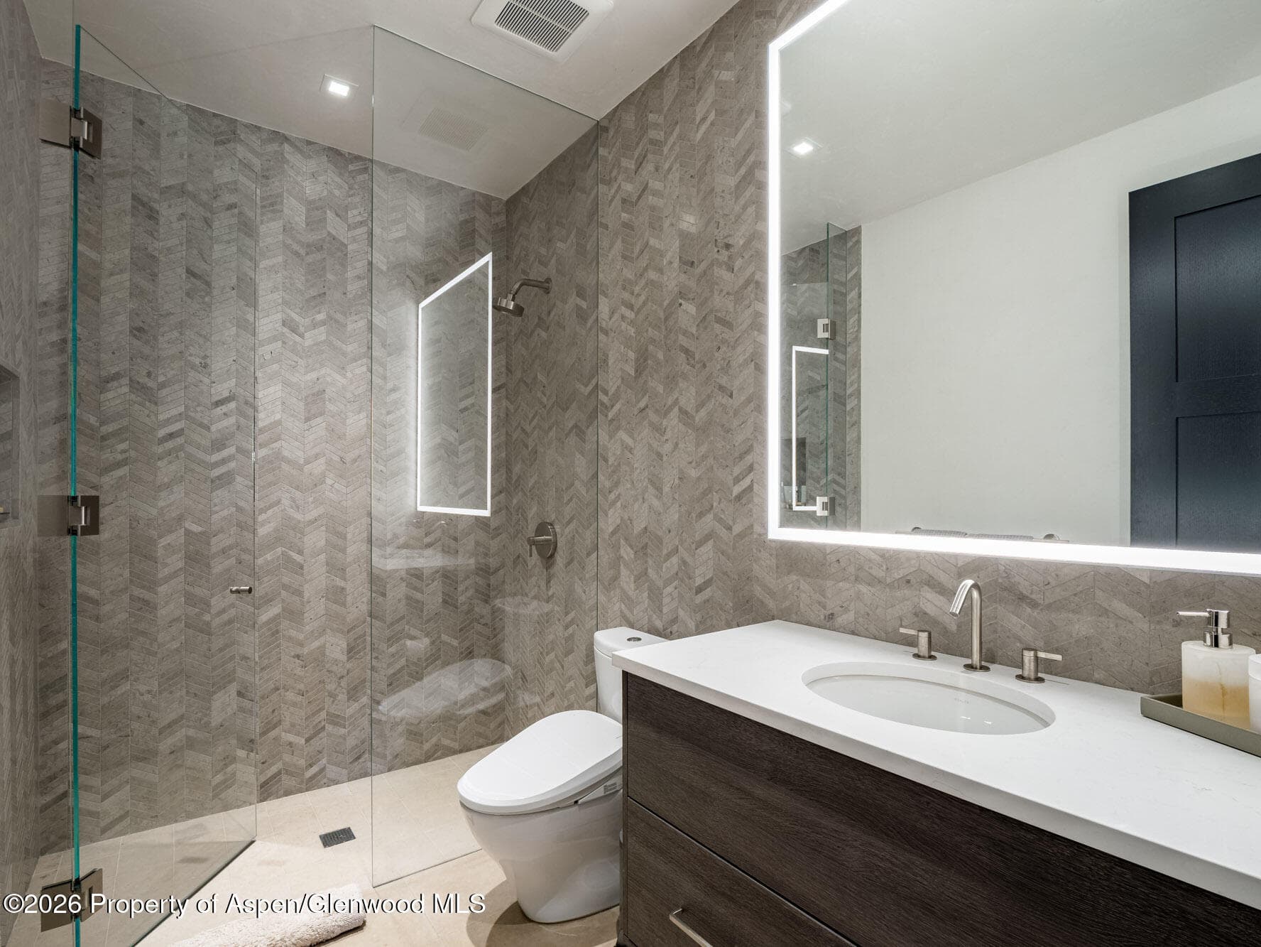 1154 E Cooper Avenue Unit B, Aspen, CO 81611 - Photo 17