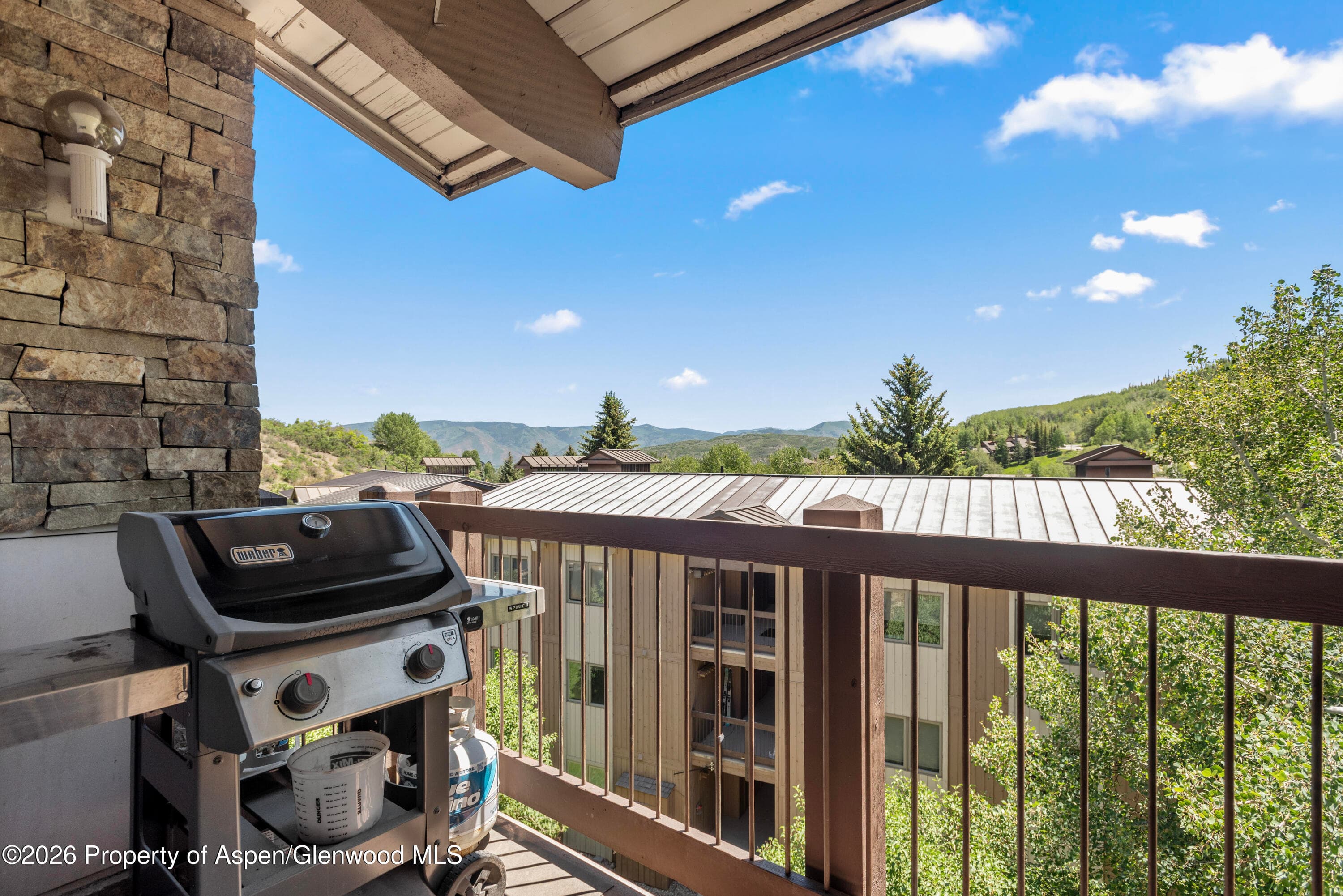 35 Upper Woodbridge Road 32ef, Snowmass Village, CO 81615 - Photo 6