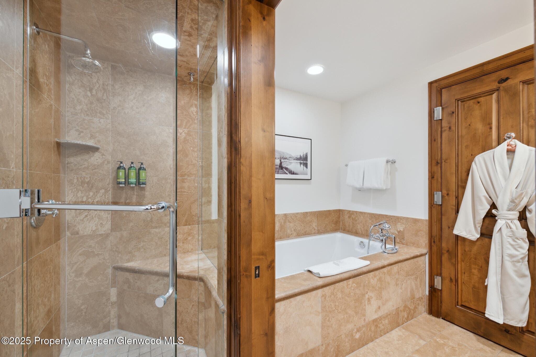 415 E Dean St., Unit 37, Week 6, Aspen, CO 81611 - Photo 20