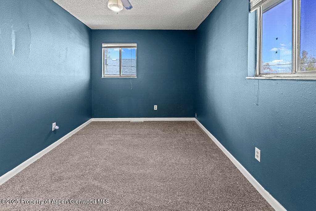 1159 Barclay Street, Craig, CO 81625 - Photo 25