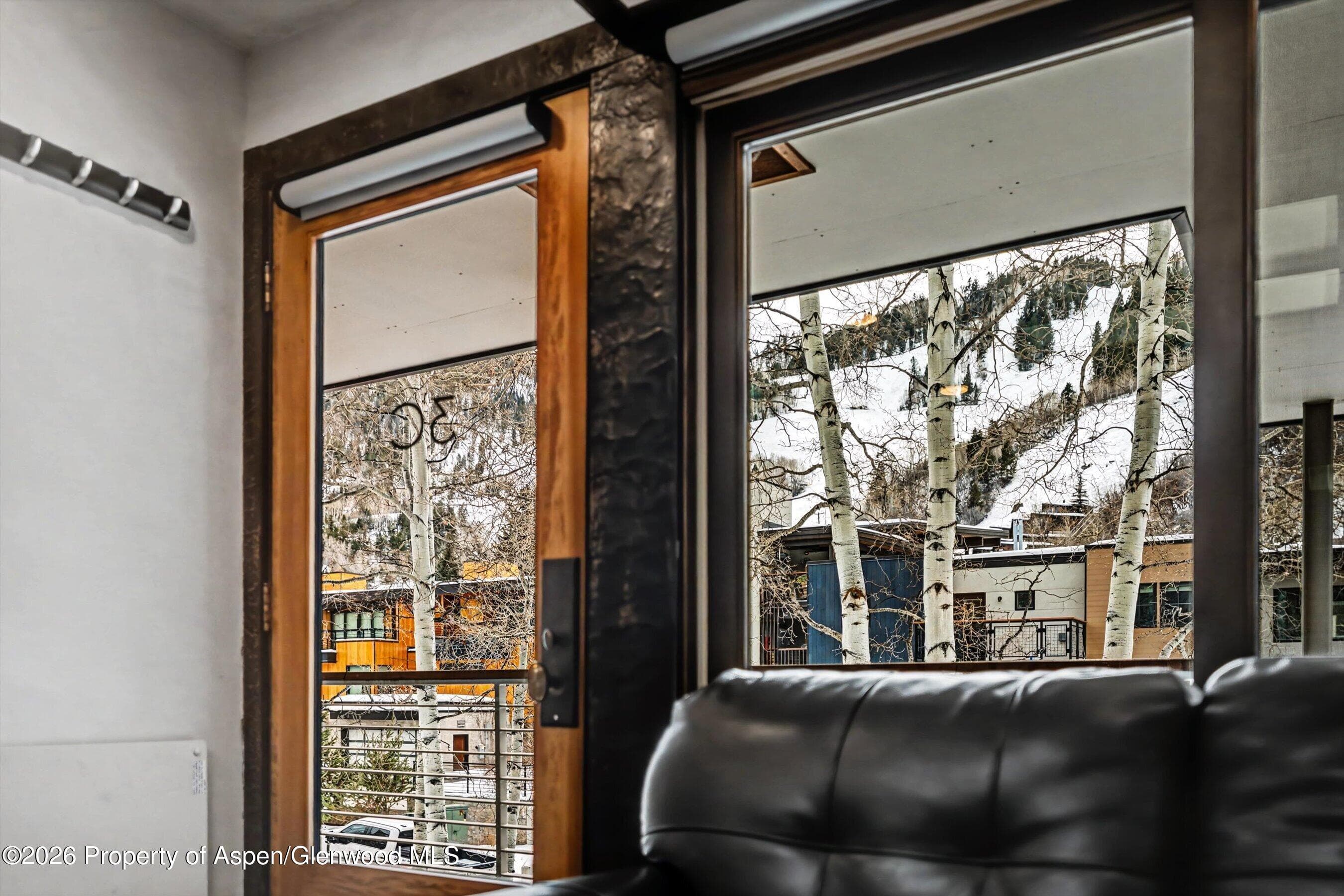 100 E Dean Street 3c, Aspen, CO 81611 - Photo 6