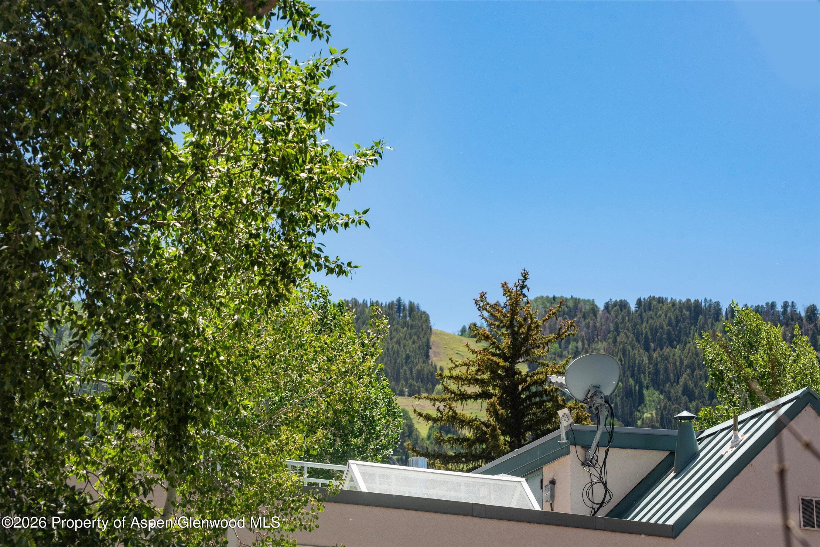 725 E Main Street 107, Aspen, CO 81611 - Photo 17