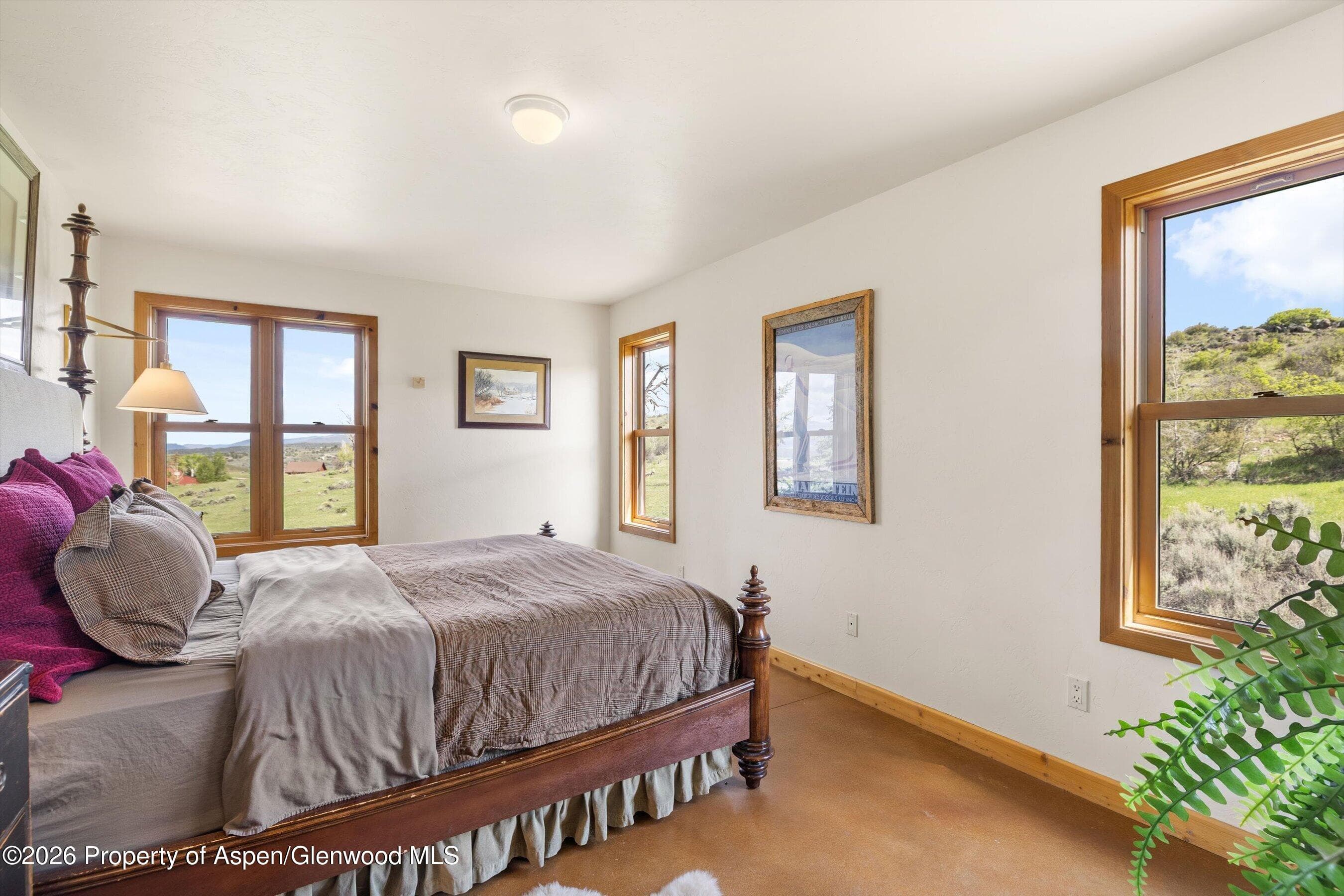 345 Elk Range Road, Carbondale, CO 81623 - Photo 13