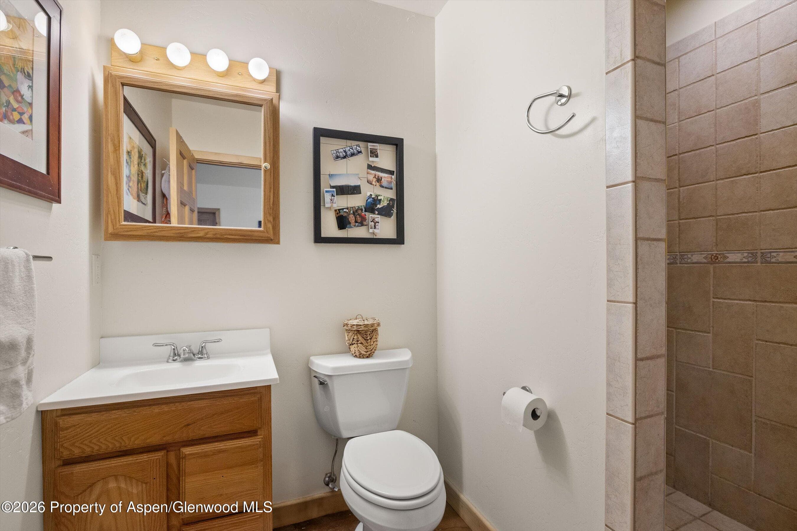 345 Elk Range Road, Carbondale, CO 81623 - Photo 23