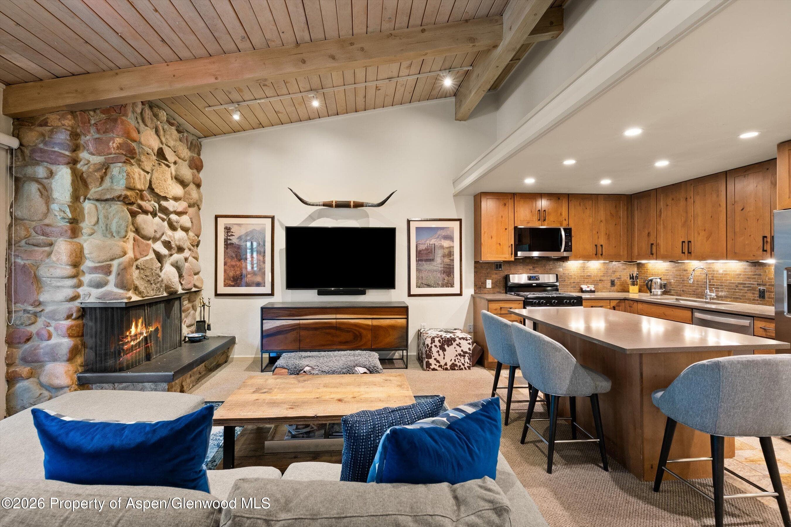 700 Ute Avenue 213, Aspen, CO 81611 - Photo 4