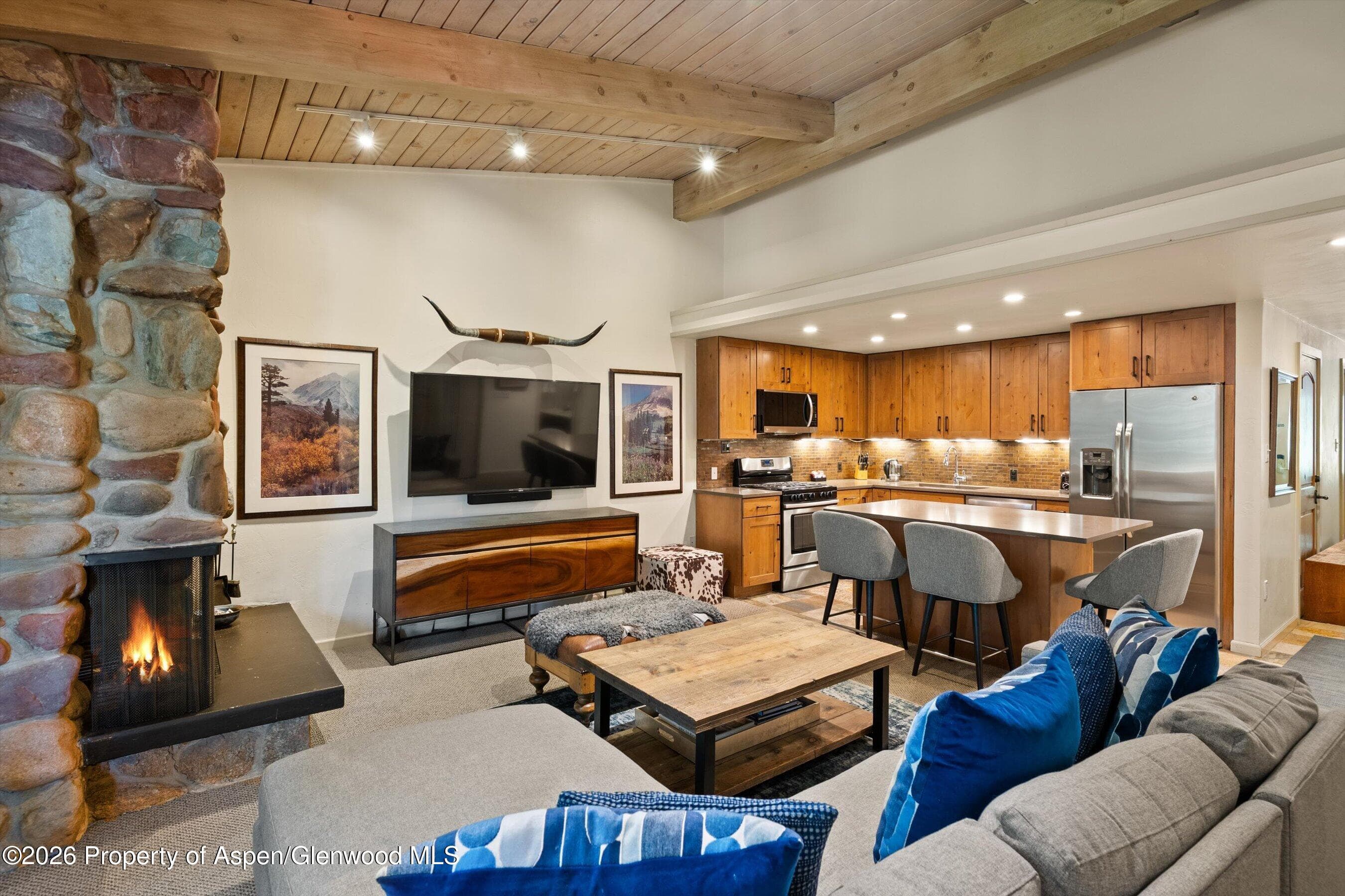700 Ute Avenue 213, Aspen, CO 81611 - Photo 5