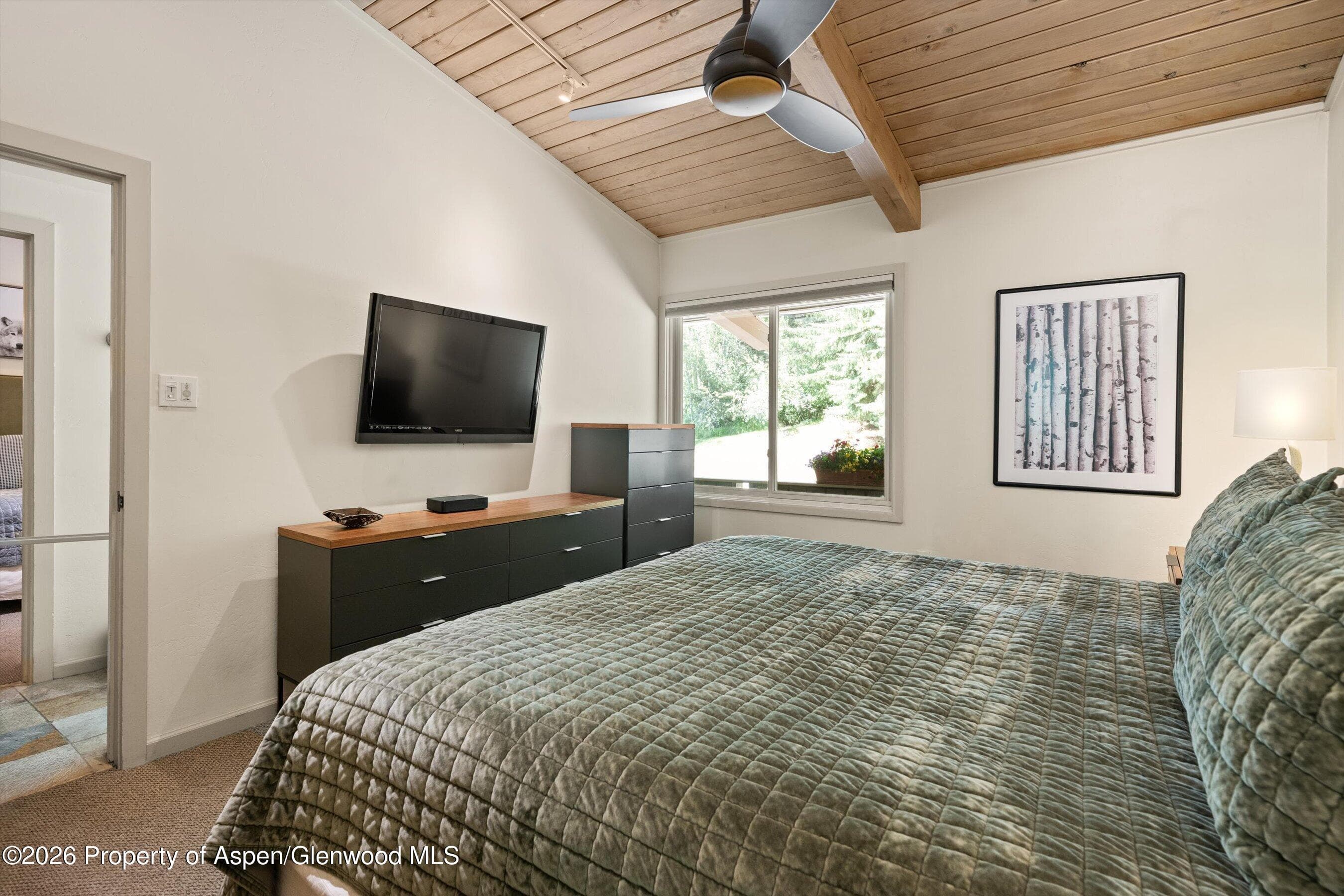 700 Ute Avenue 213, Aspen, CO 81611 - Photo 19