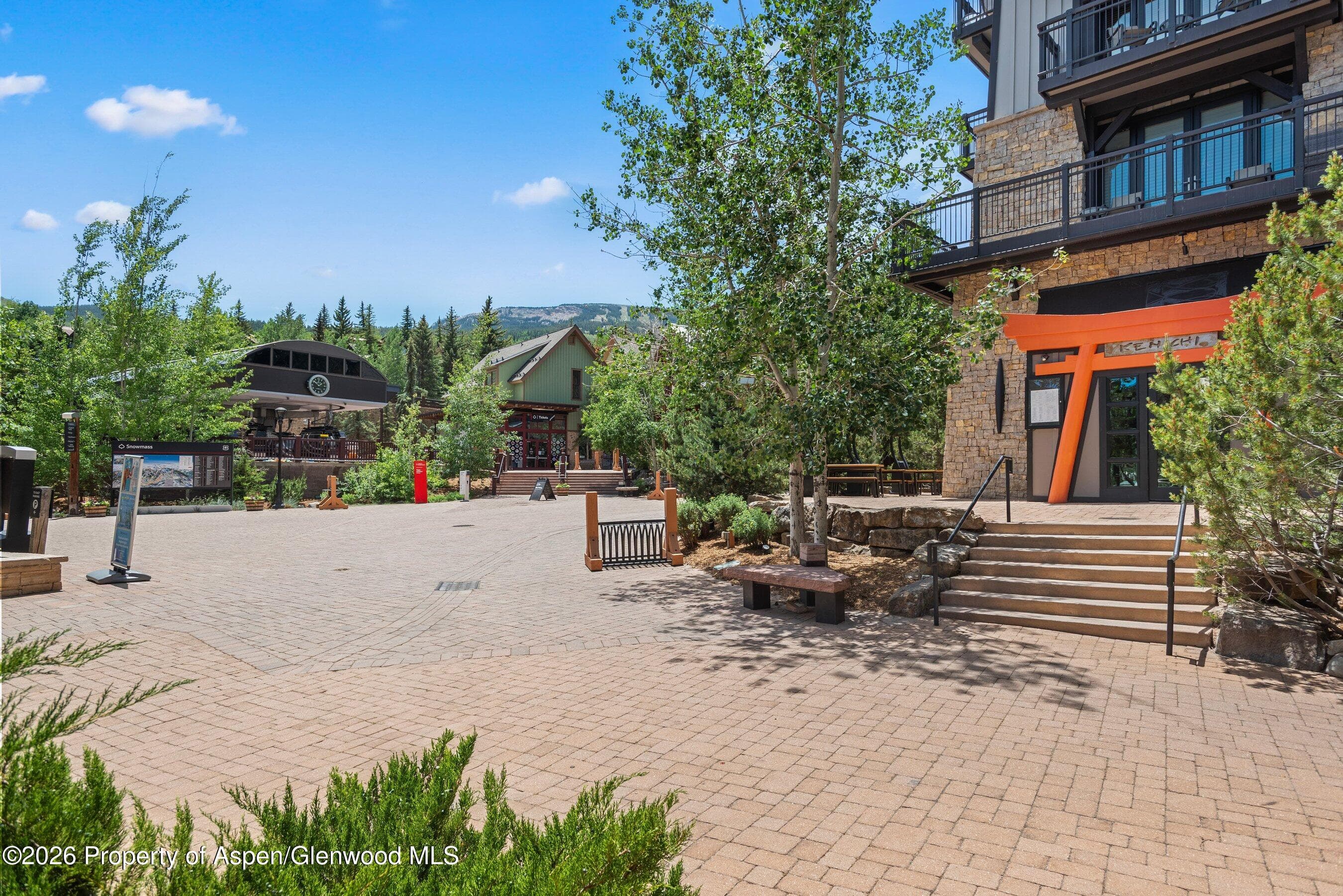 90 Carriage Way 3317, Snowmass Village, CO 81615 - Photo 22