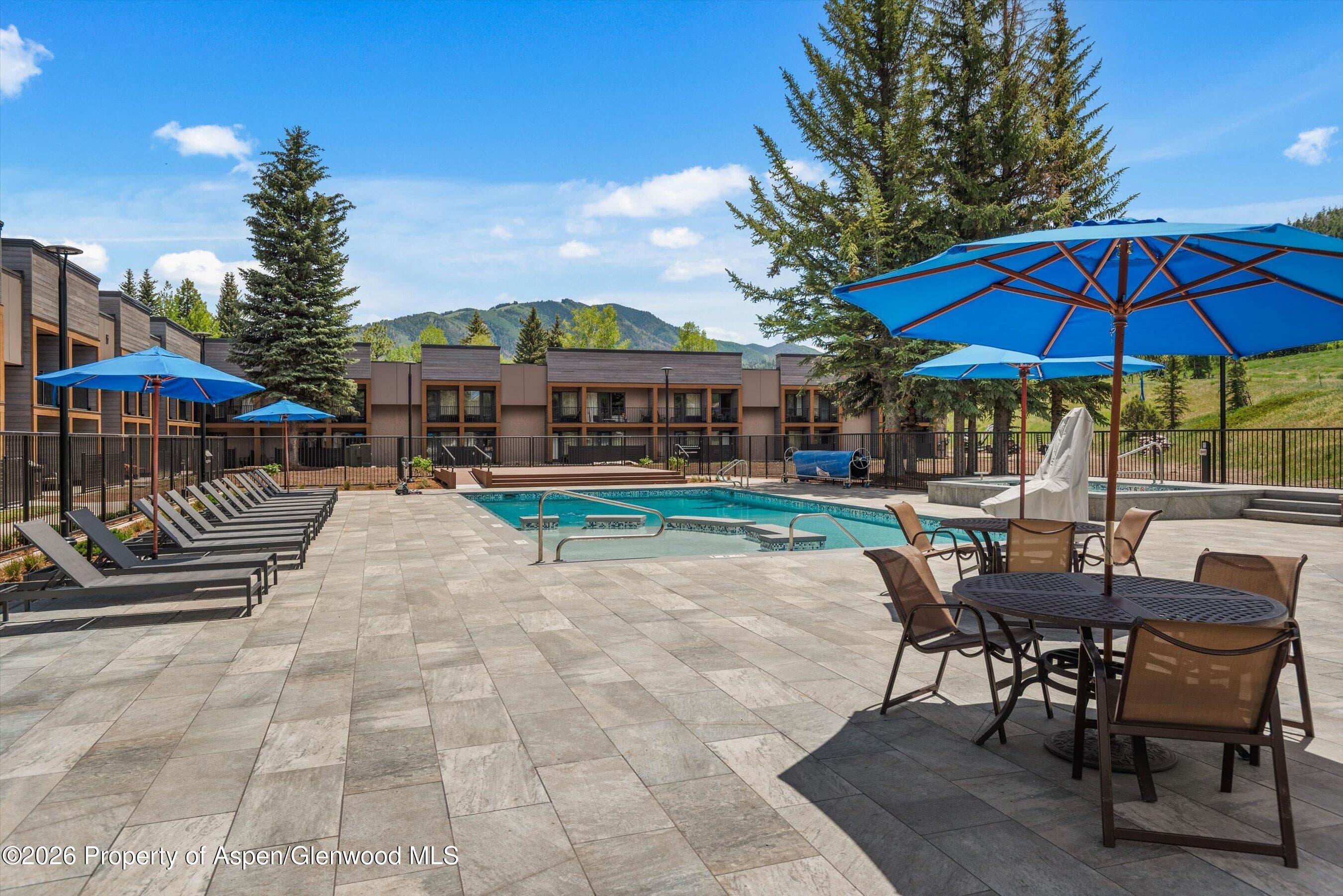 38750 Hwy 82 1109, Aspen, CO 81611 - Photo 23