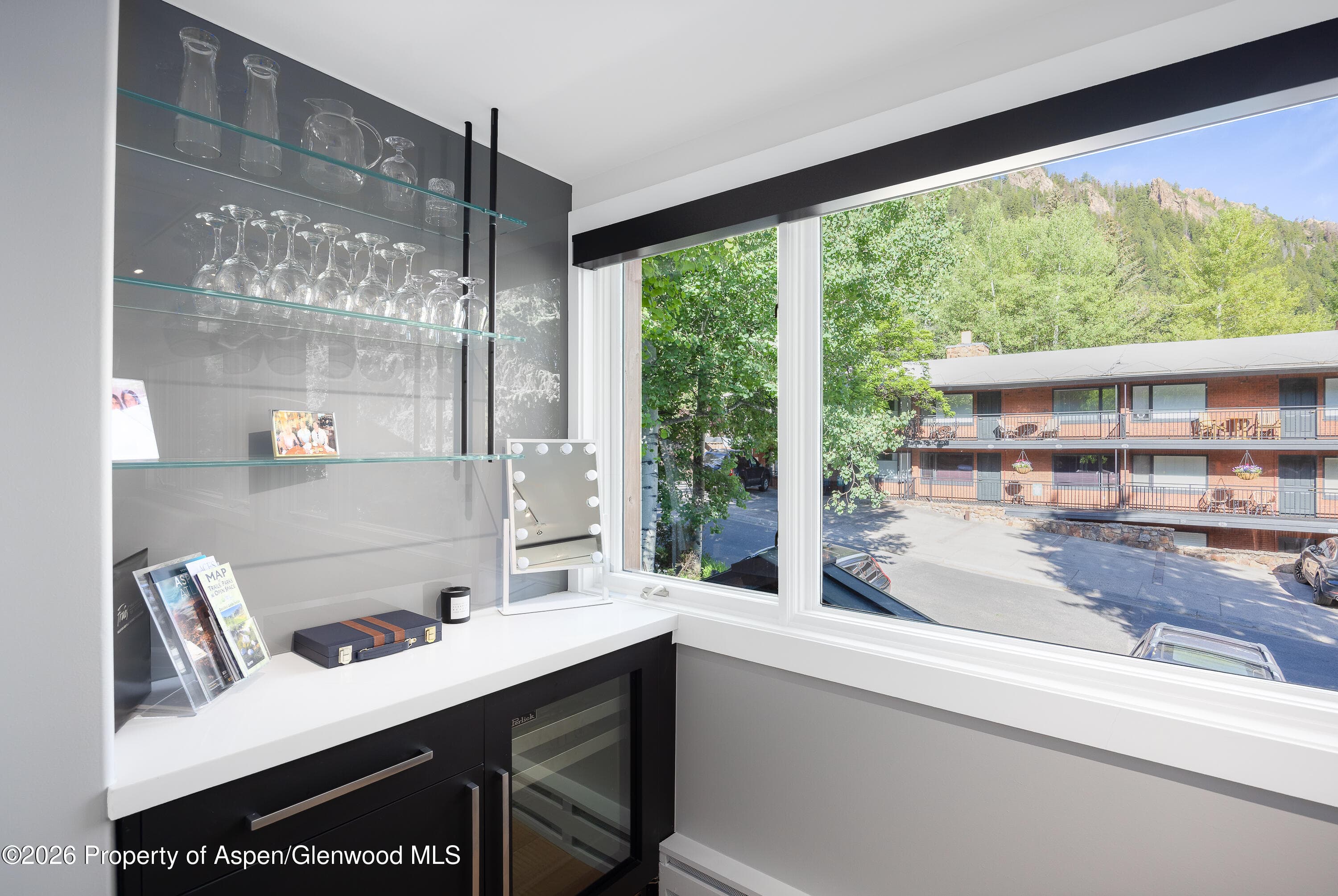 718 S Mill Street 7, Aspen, CO 81611 - Photo 6