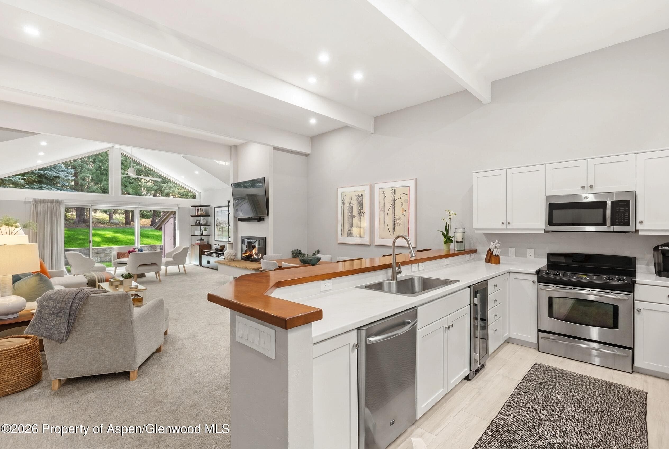 625 S West End Street #7, Aspen, CO 81611 - Photo 10