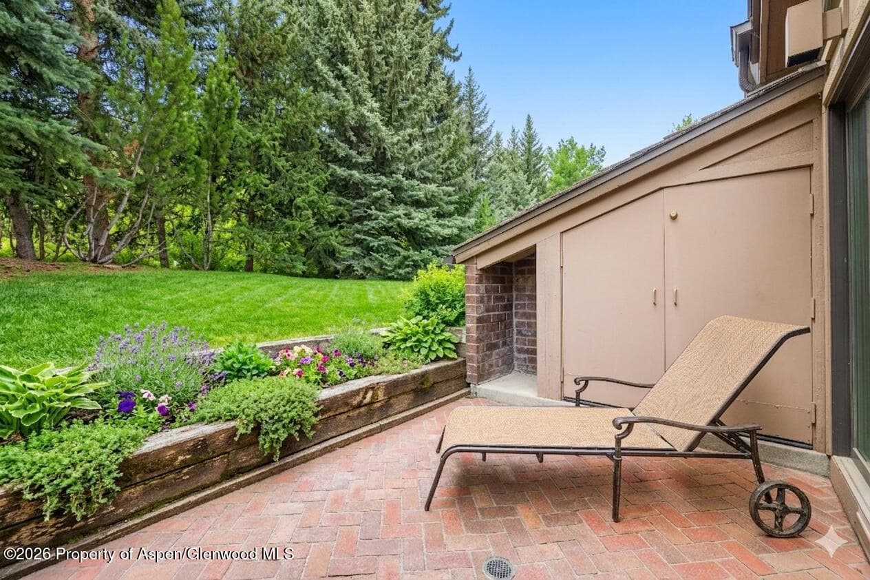 625 S West End Street #7, Aspen, CO 81611 - Photo 23