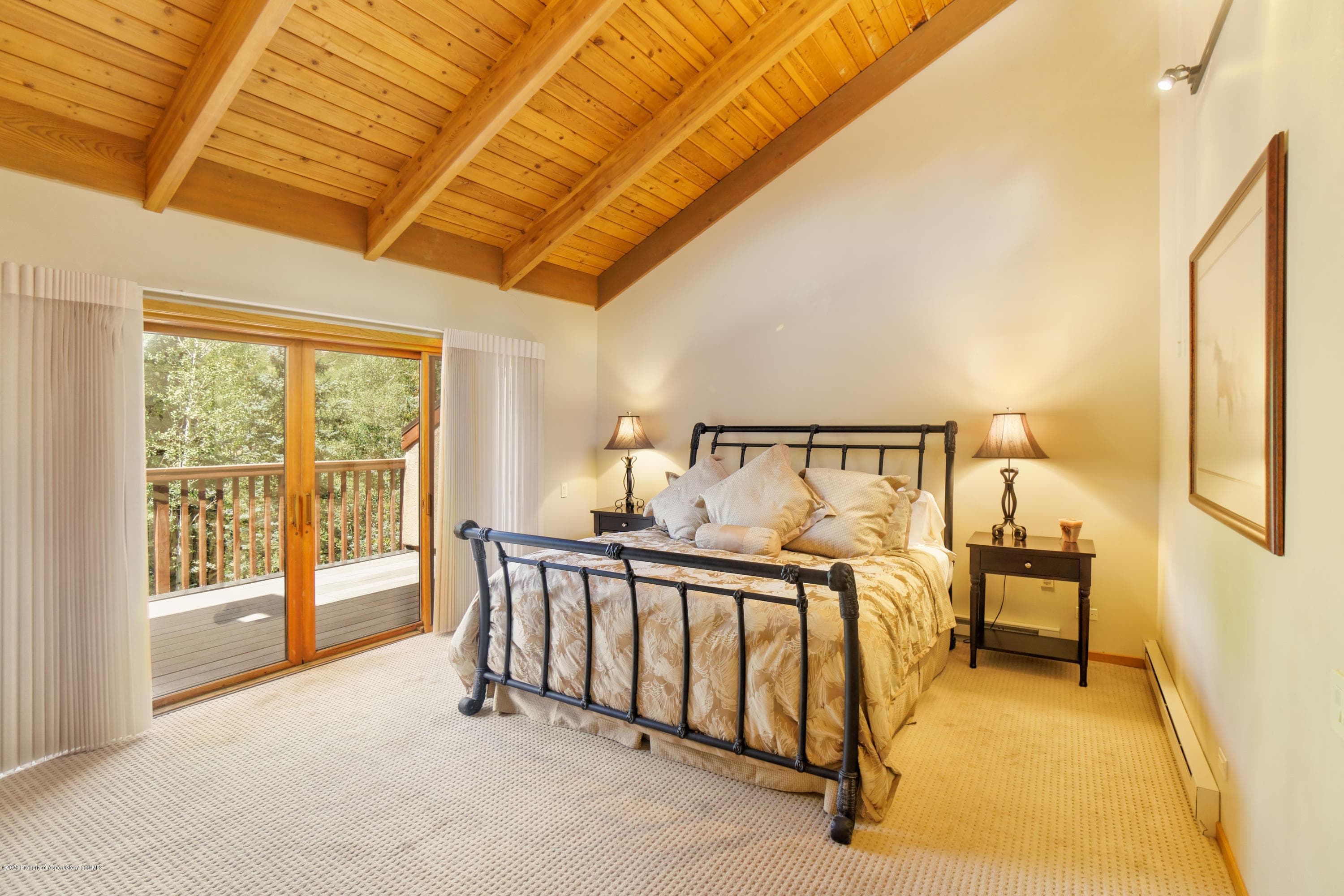 800 Ridge Road #9, Snowmass Village, CO 81615 - Photo 10