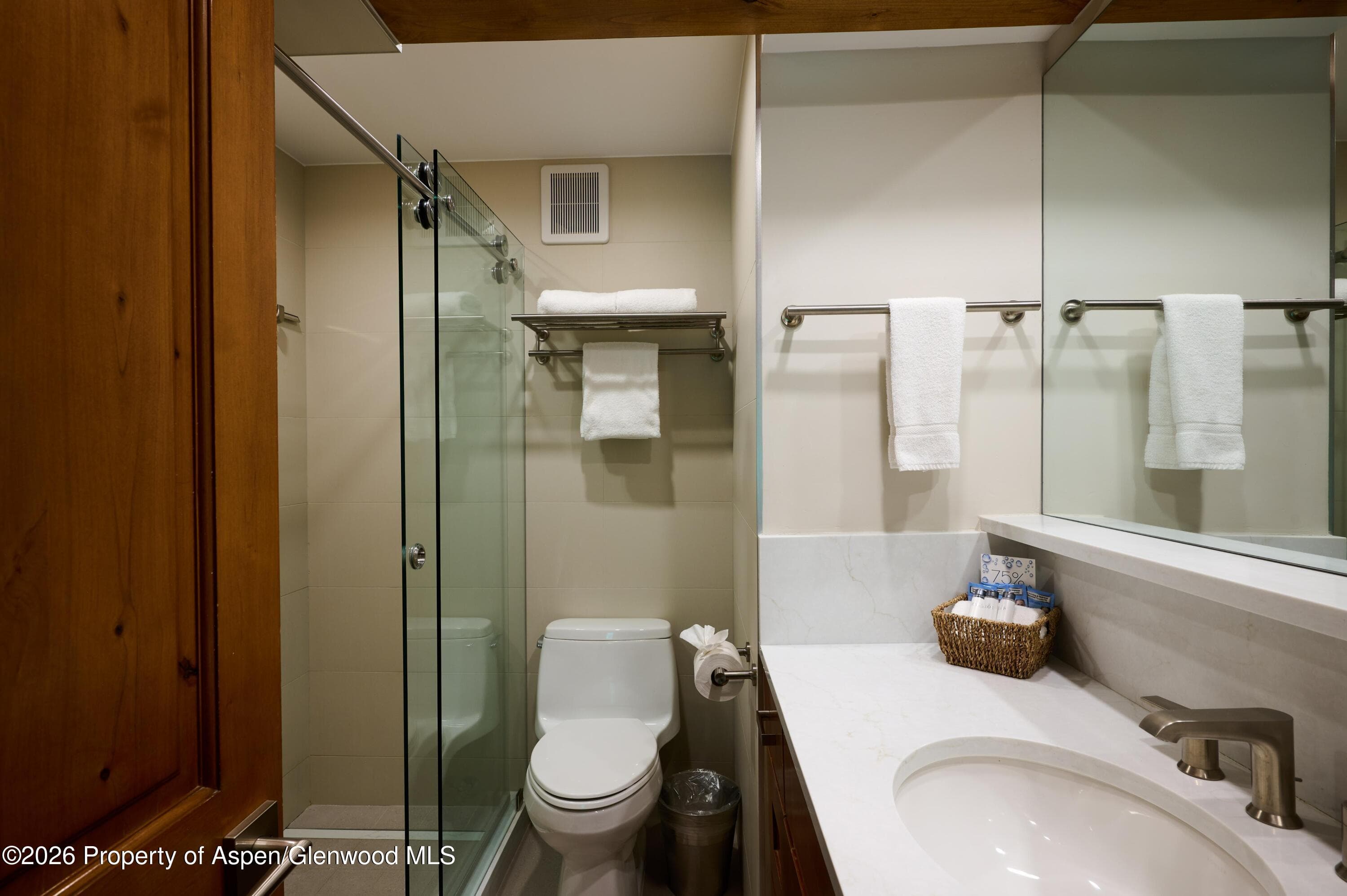 131 E Durant Avenue 410, Aspen, CO 81611 - Photo 10