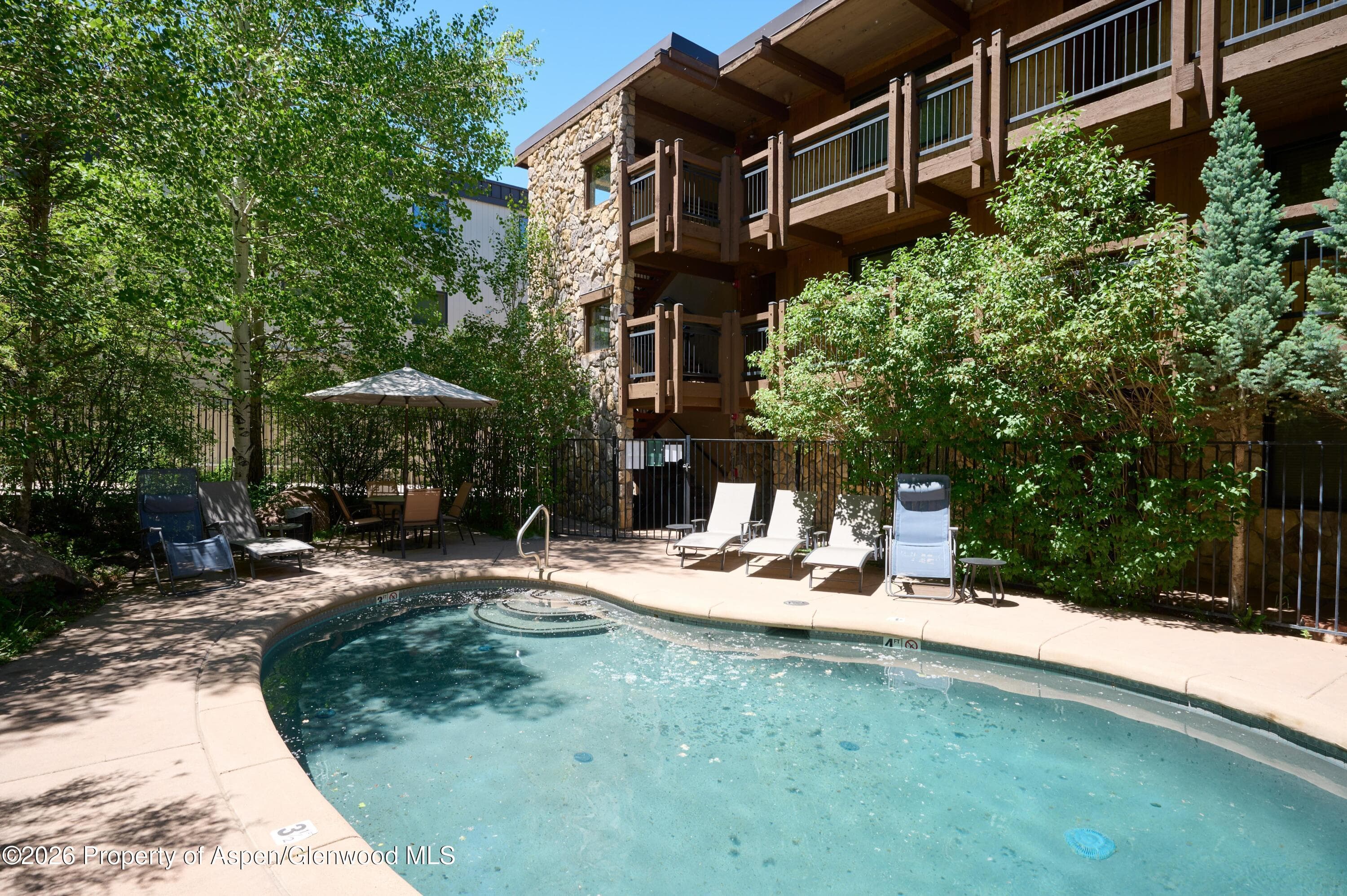 131 E Durant Avenue 410, Aspen, CO 81611 - Photo 13
