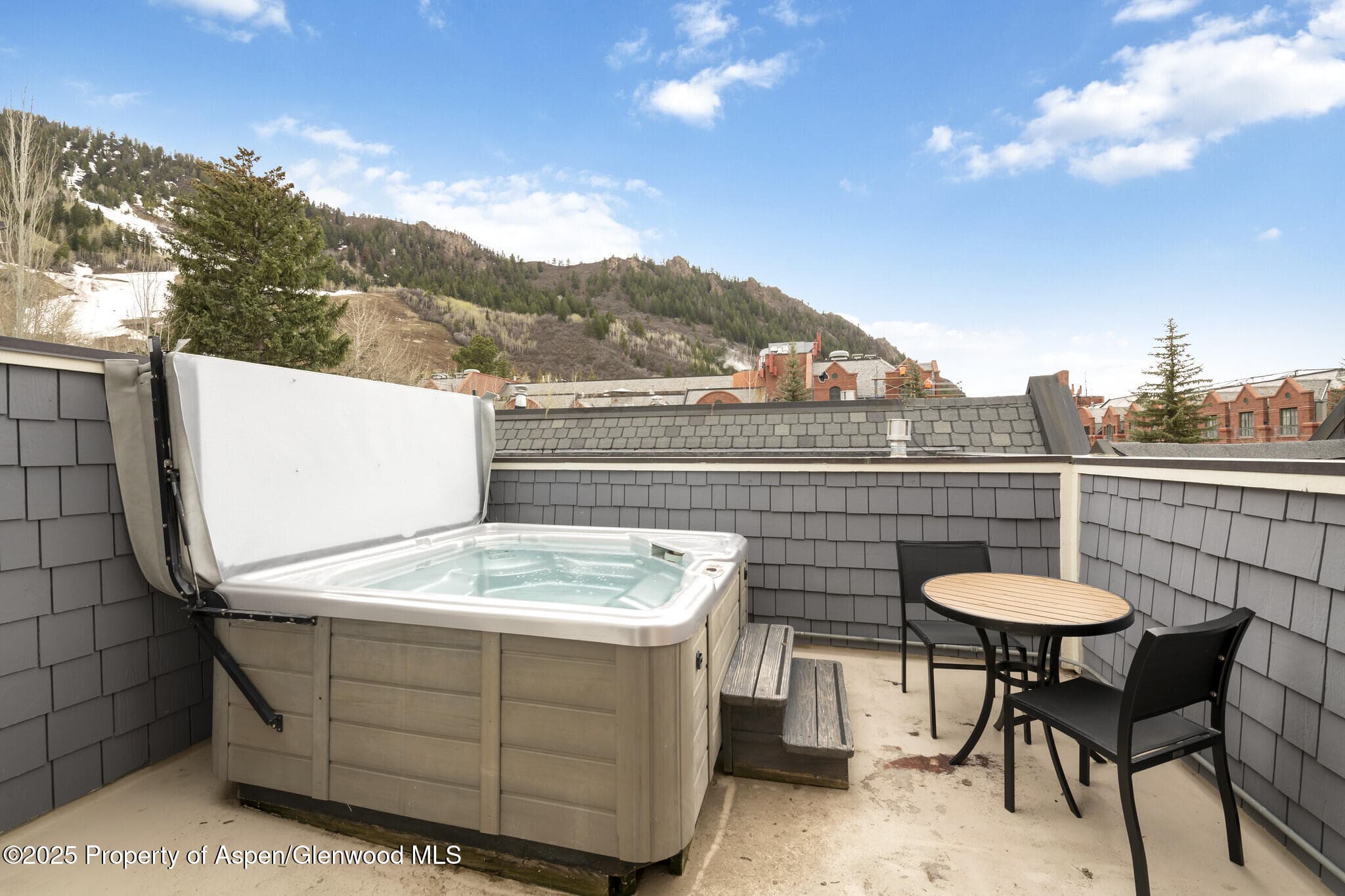 415 E Dean St, Unit 50, Week 8, Aspen, CO 81611 - Photo 11