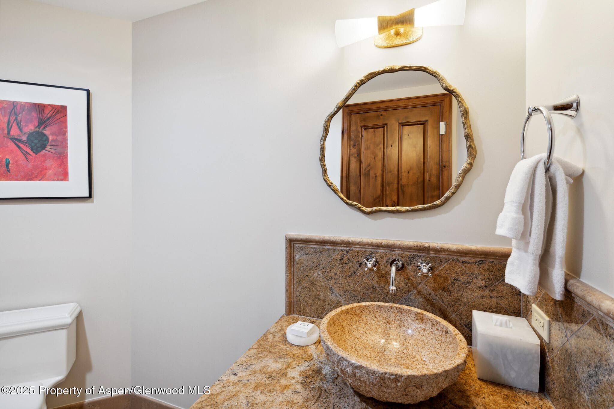 415 E Dean St, Unit 50, Week 8, Aspen, CO 81611 - Photo 19