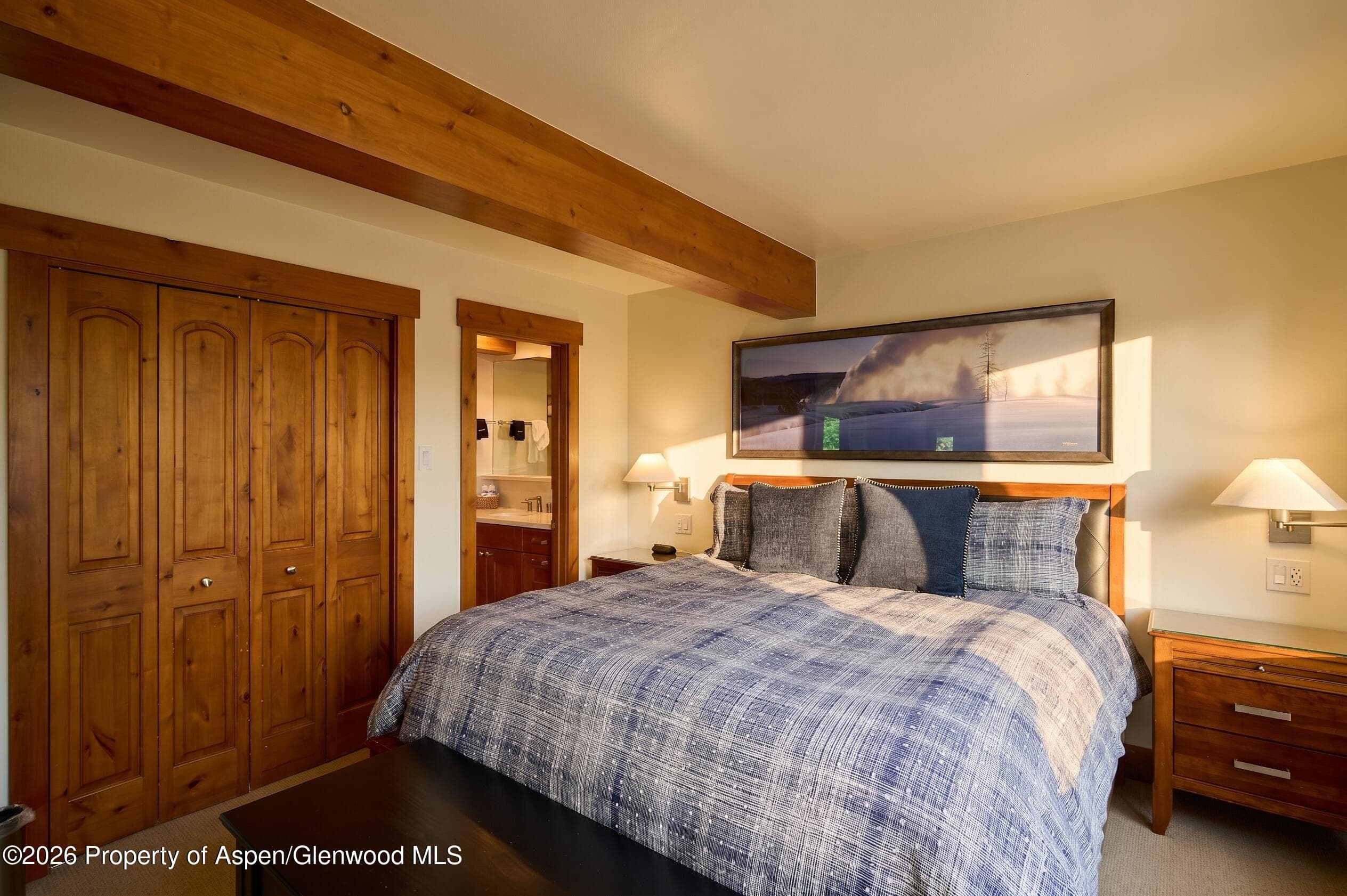 131 E Durant Avenue 410, Aspen, CO 81611 - Photo 7