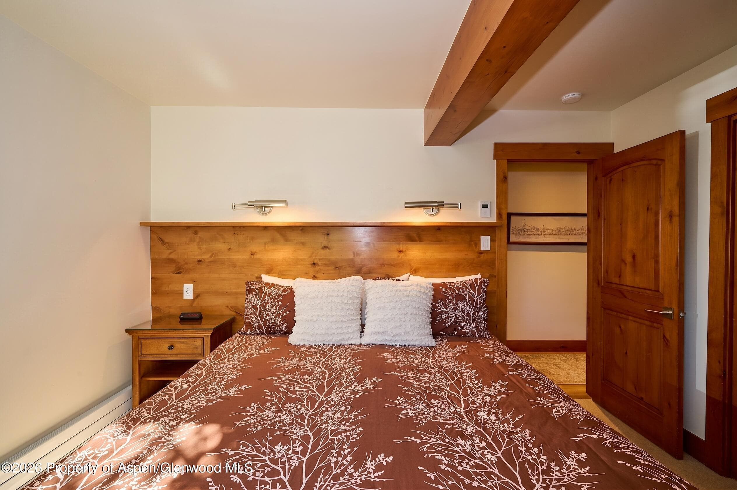 131 E Durant Avenue 410, Aspen, CO 81611 - Photo 8