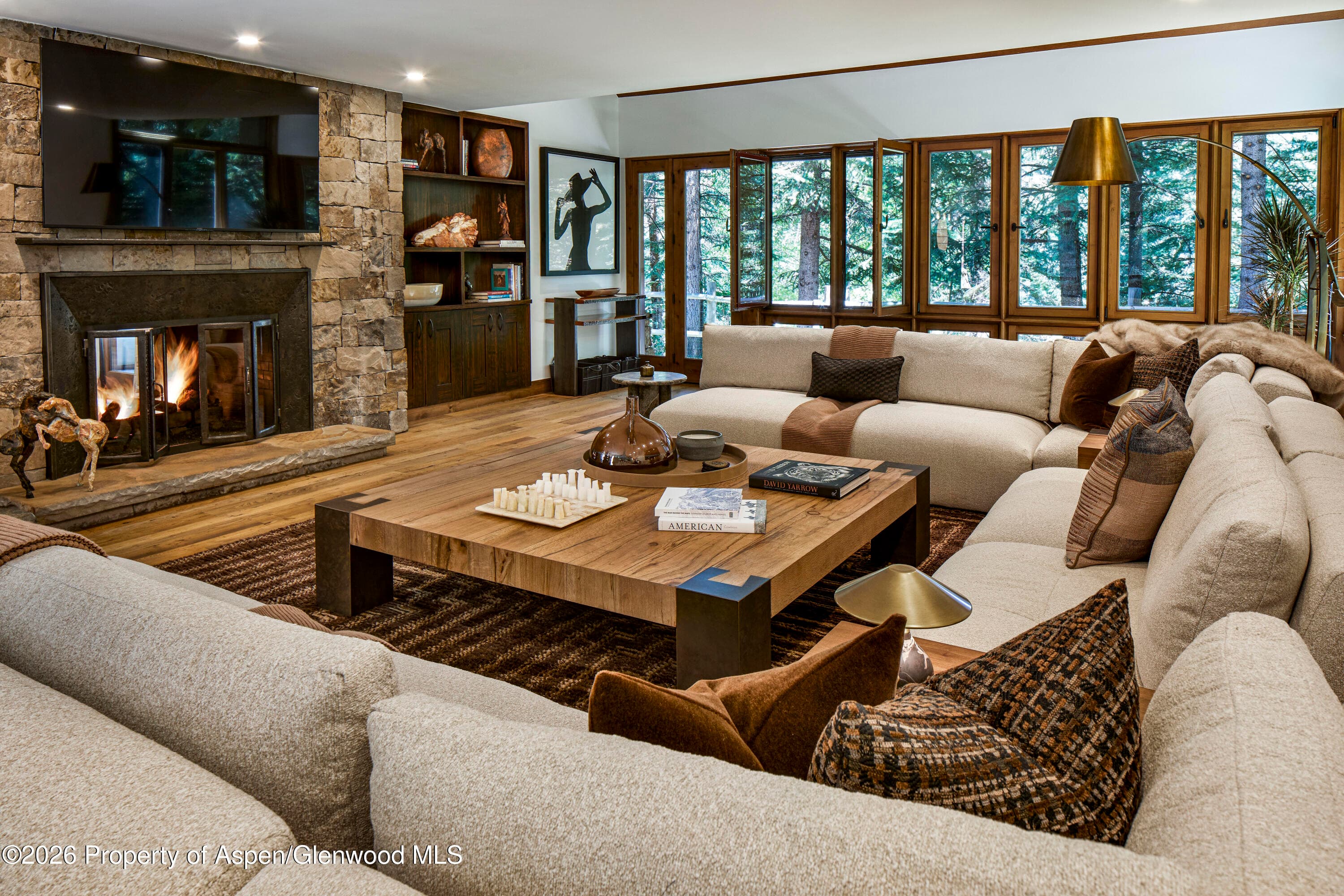970 Powder Lane, Aspen, CO 81611 - Photo 11