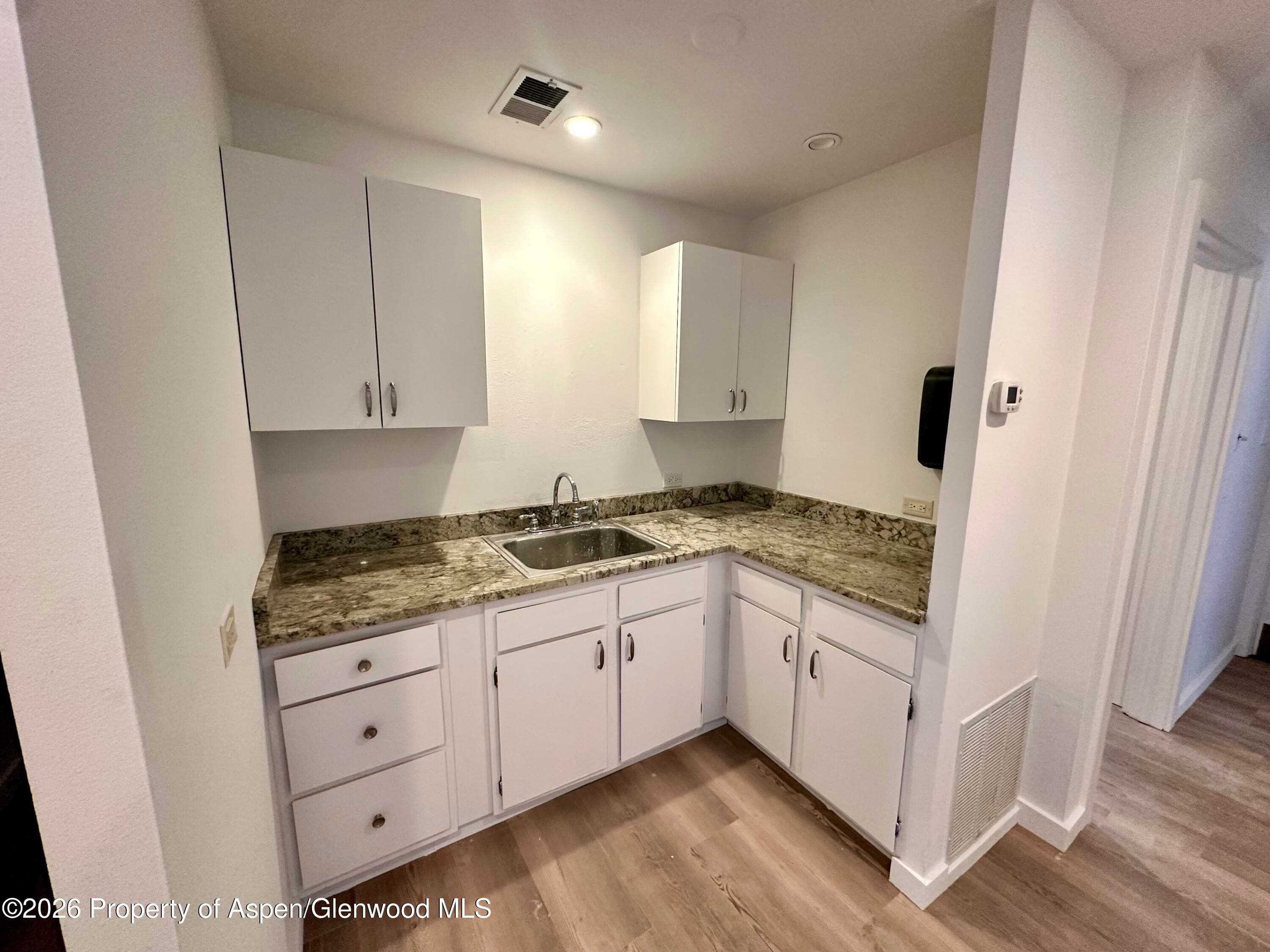 420 W Main Street 101, Aspen, CO 81611 - Photo 4