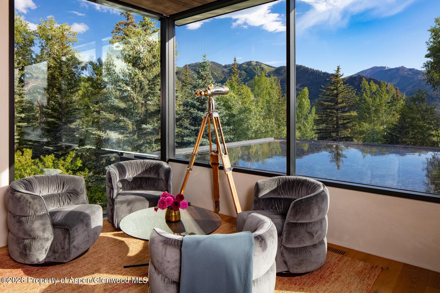 979 Red Mountain Road, Aspen, CO 81611 - Photo 2