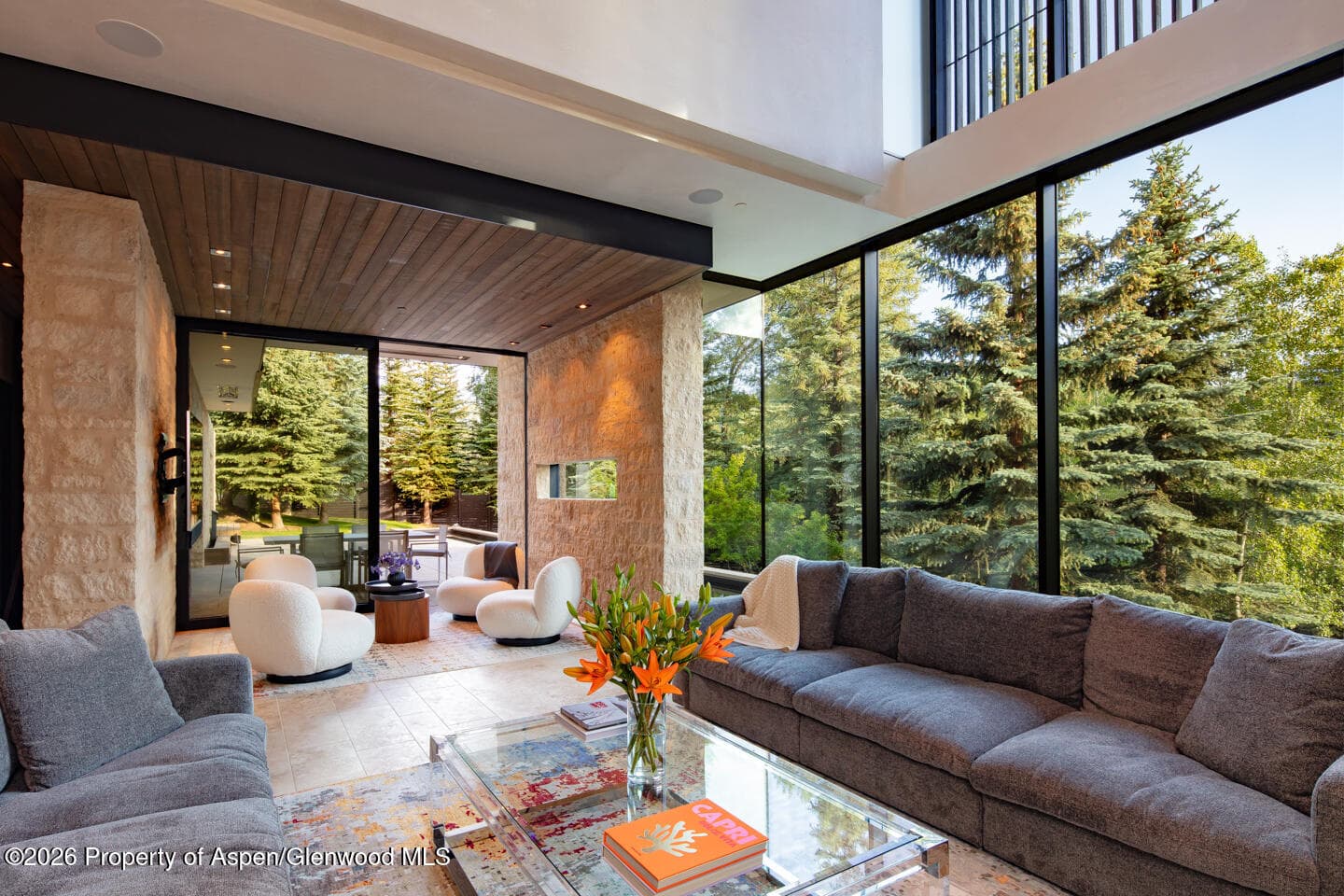 979 Red Mountain Road, Aspen, CO 81611 - Photo 3