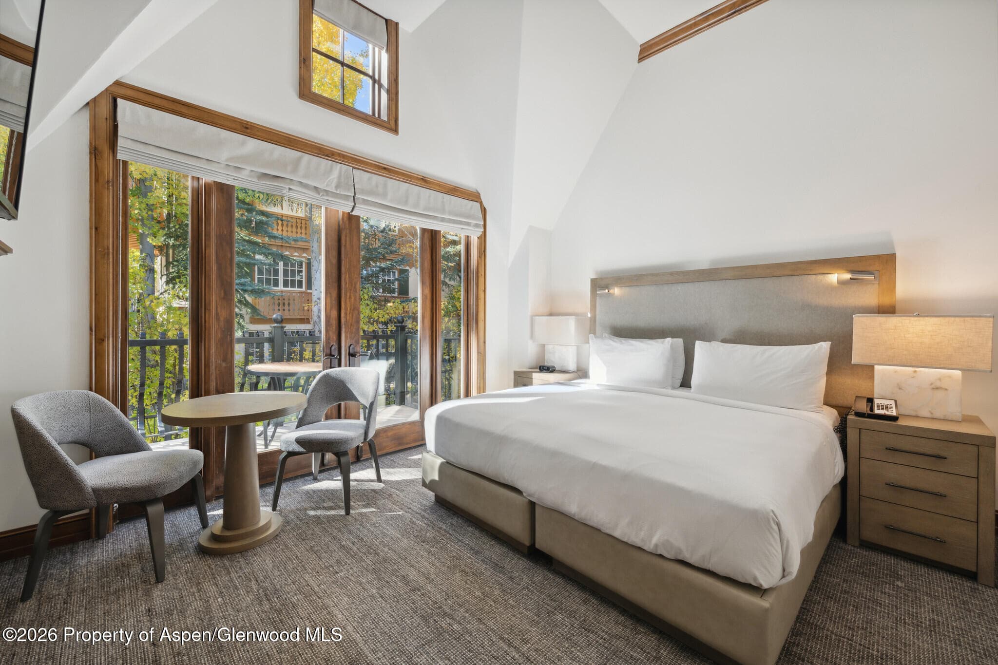 415 E Dean St, Unit 42, Wks 26 & 27, Aspen, CO 81611 - Photo 19