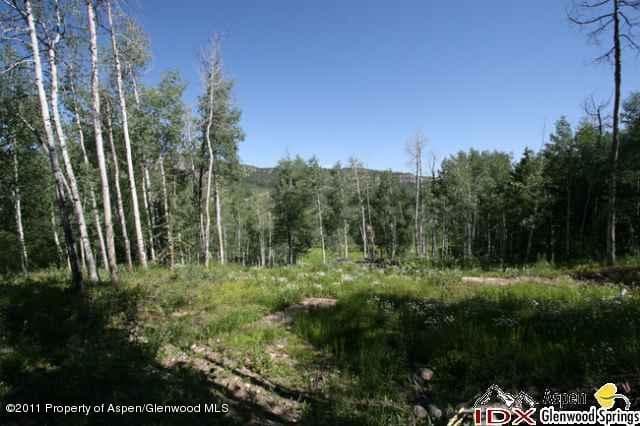 611 Edgewood Lane, Snowmass Village, CO 81615