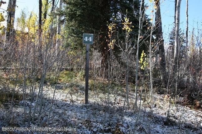 461 Pine Crest Drive, Snowmass Village, CO 81615