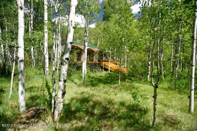 67 Ardmore Court, Aspen, CO 81611