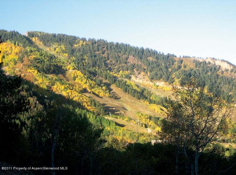 287 Mcskimming Road, Aspen, CO 81611
