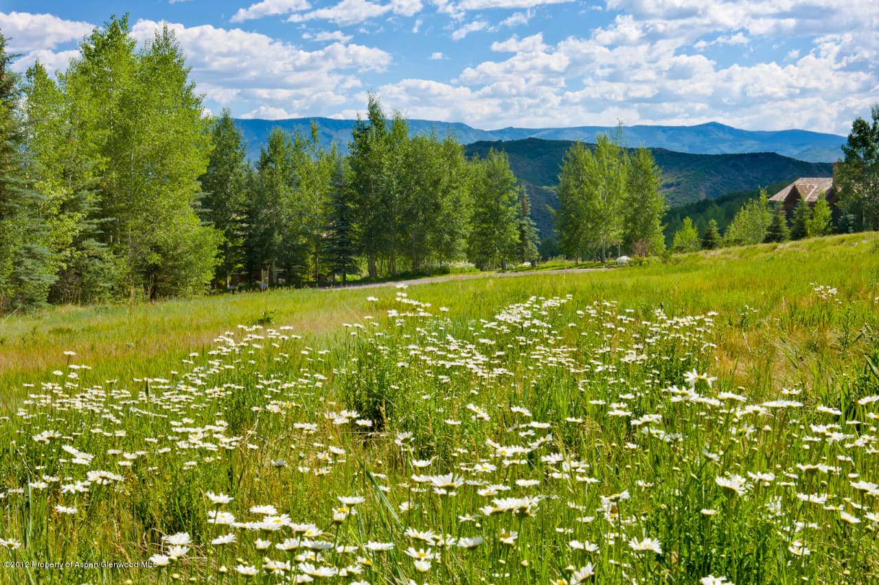 151 Blue Spruce Lane, Snowmass Village, CO 81615