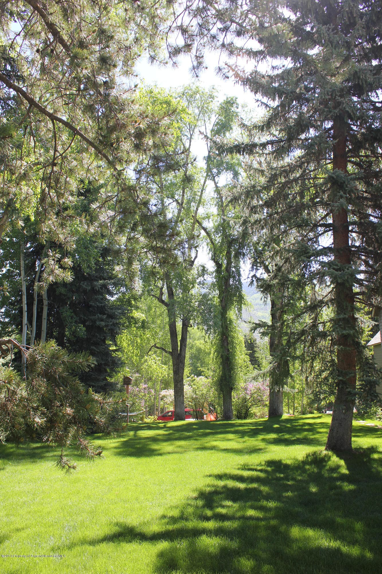 337 Lake Avenue, Aspen, CO 81611