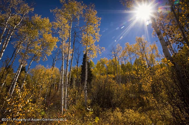 540 Pine Crest Drive, Snowmass Village, CO 81615
