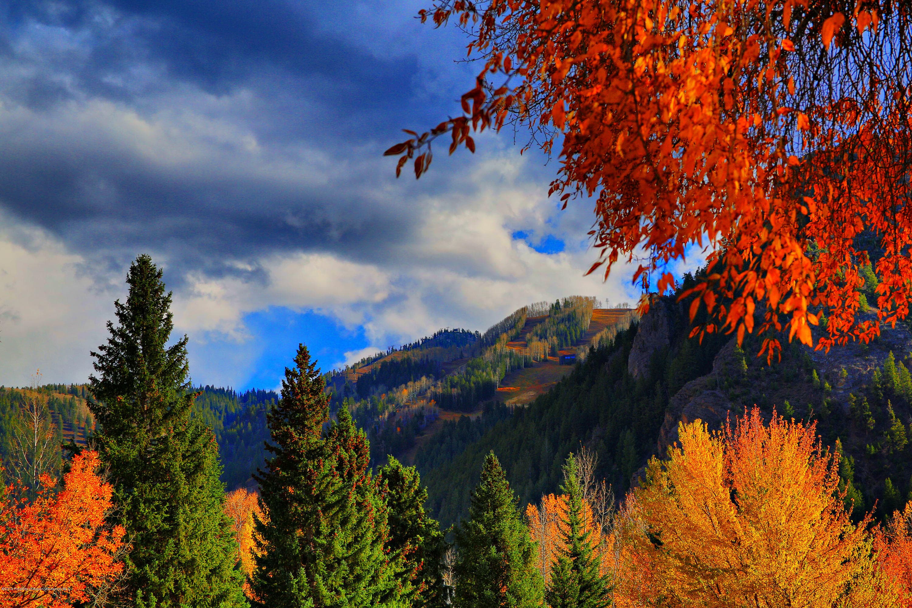 Tbd Smuggler Street, Aspen, CO 81611