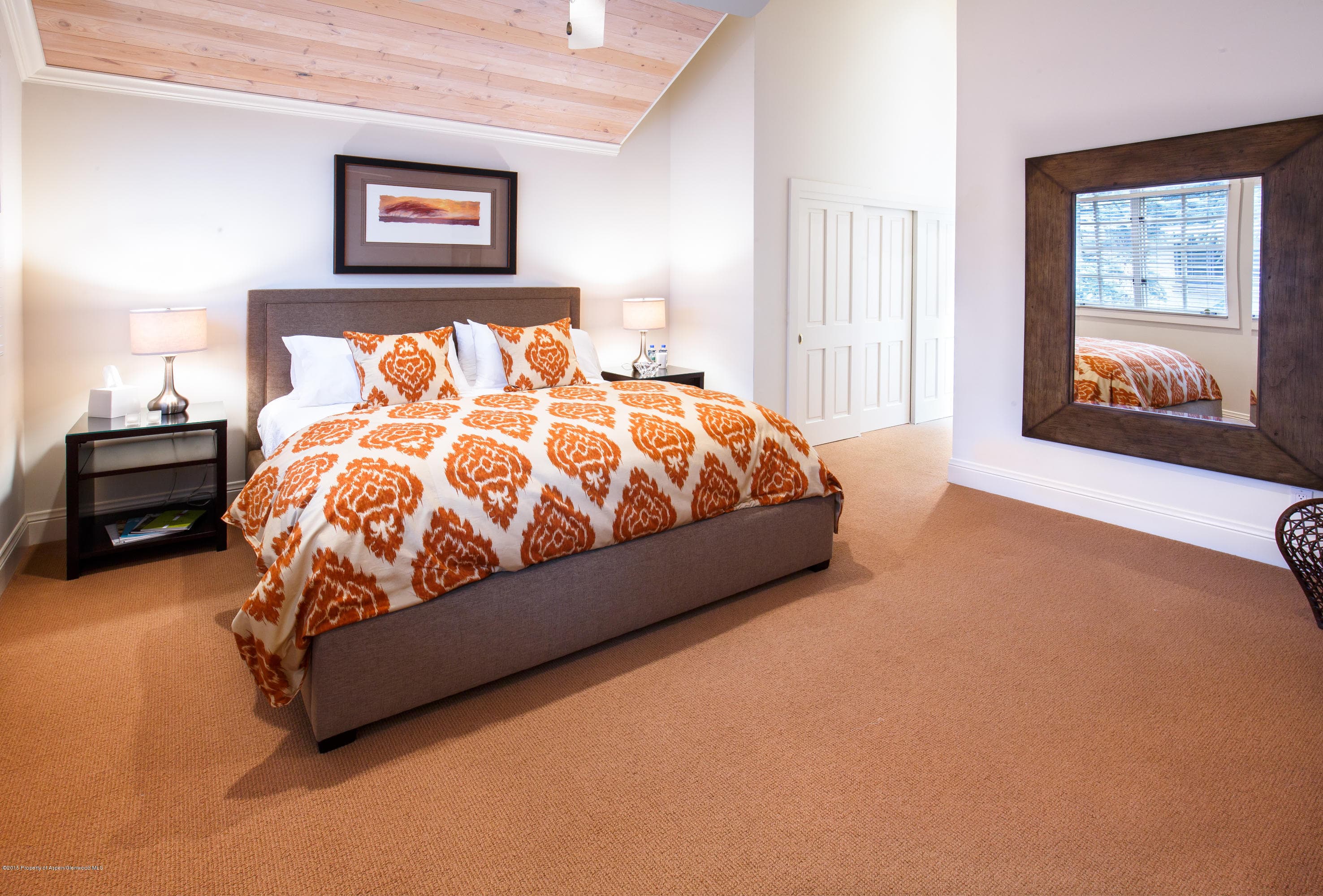 907 Waters Avenue, Aspen, CO 81611 - Photo 13