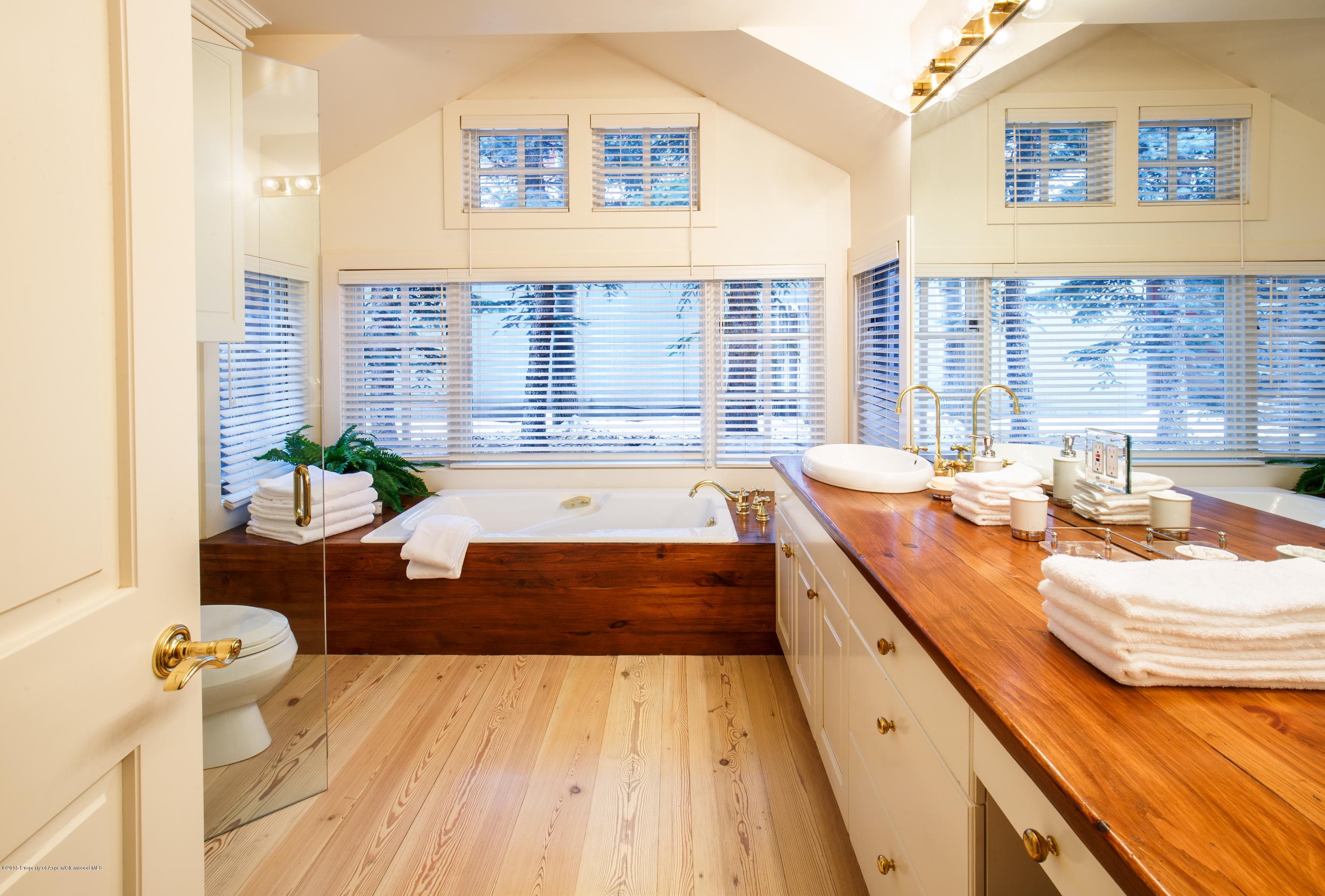 907 Waters Avenue, Aspen, CO 81611 - Photo 10