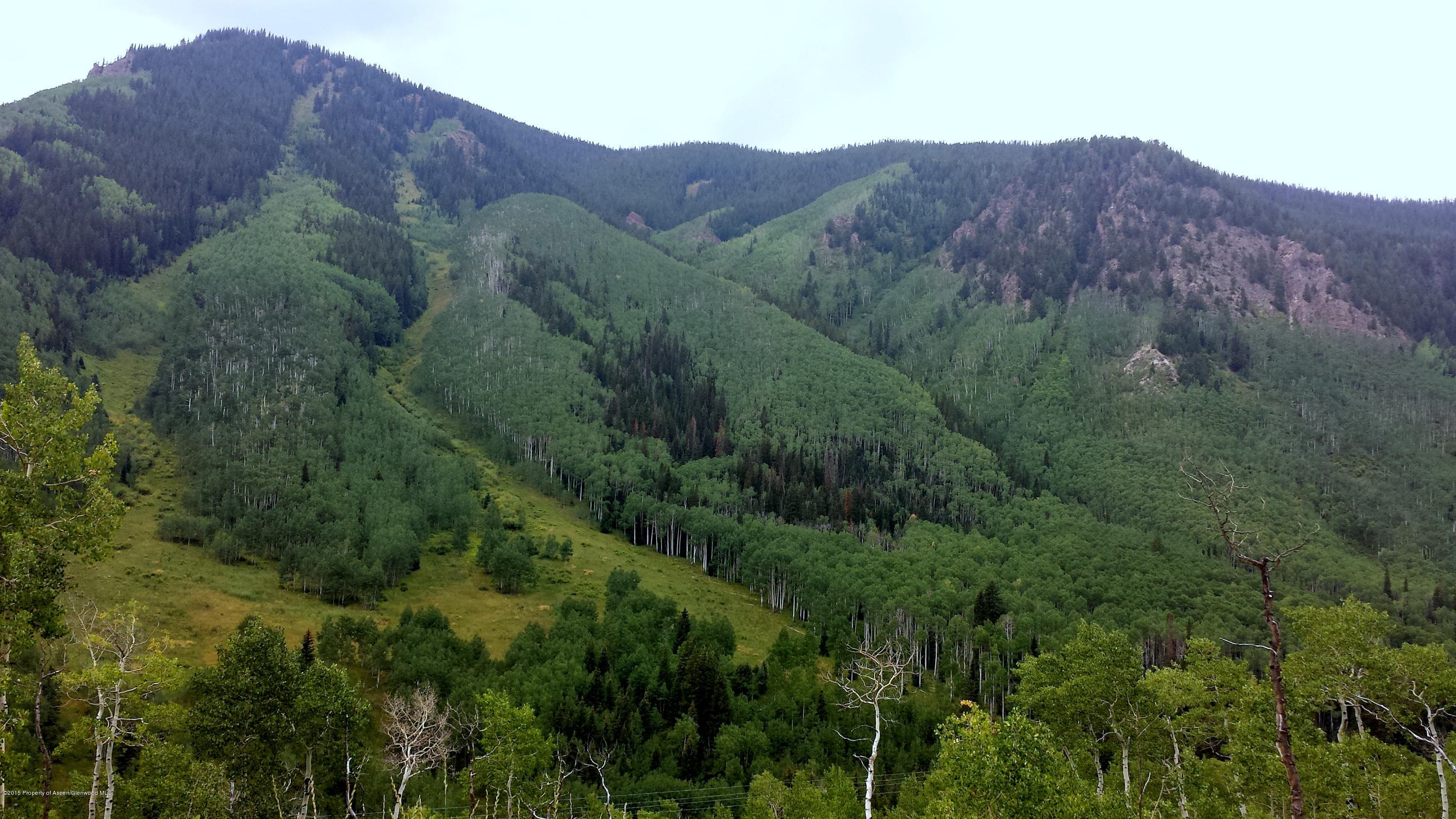 Tbd Castle Creek Road, Aspen, CO 81611